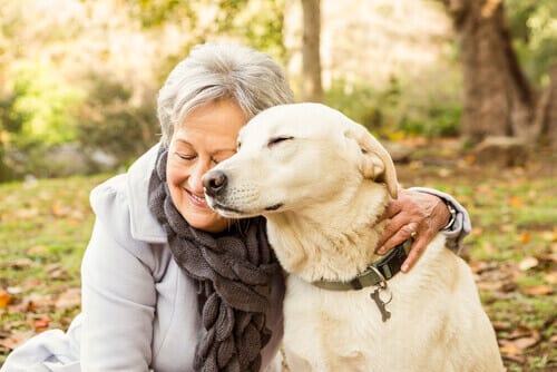 Dogs and Older People Living Together: Health Benefits