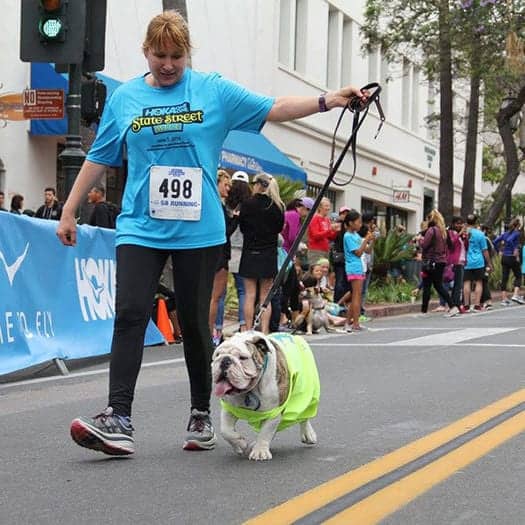 Running with Your Dog: What to Do and What to Avoid