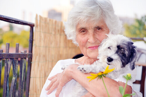 The Dog: One of the Best Companions for Older People