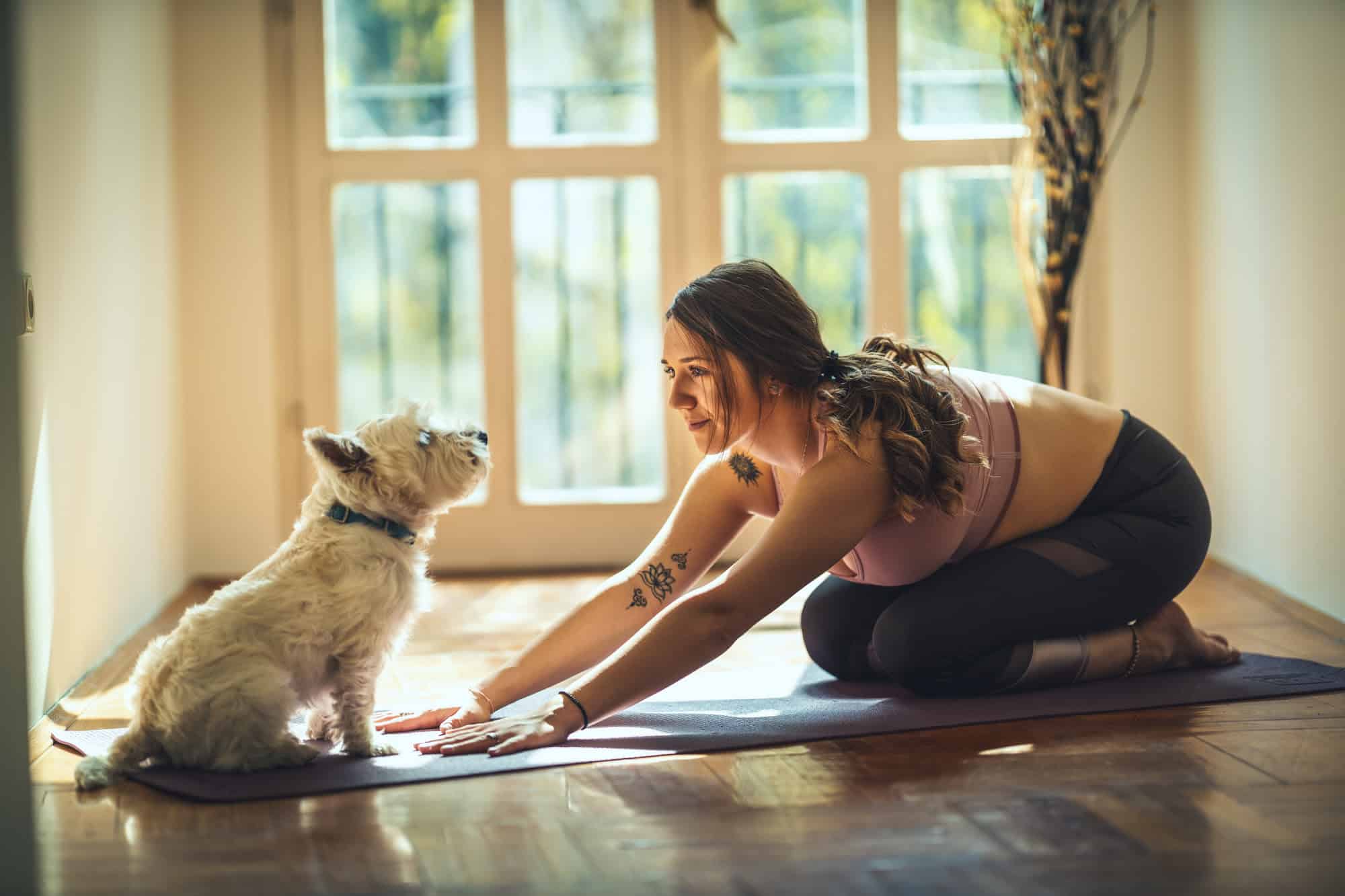 Pet Owners Cope Better with COVID-19 Lockdown, Regardless of the Type of Pet