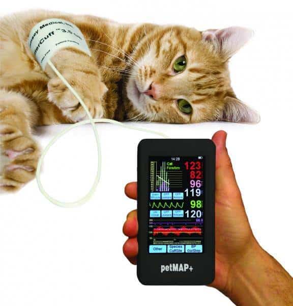 A petMAP+ blood-pressure device, with the readings on its screen.